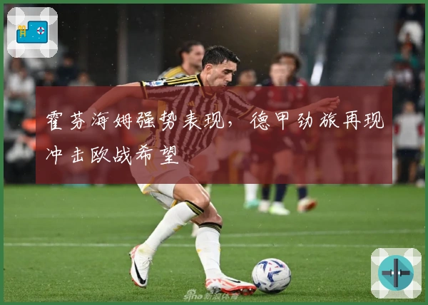 霍芬海姆强势表现,德甲劲旅再现冲击欧战希望