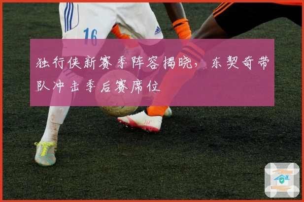 独行侠新赛季阵容揭晓，东契奇带队冲击季后赛席位